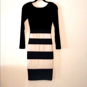 Alt B Stretchy Fitted Dress